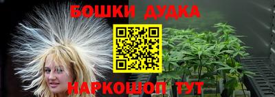 стаф Кингисепп
