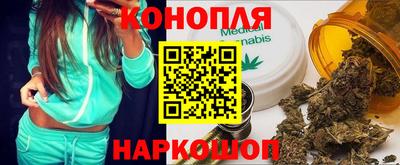 стаф Кингисепп
