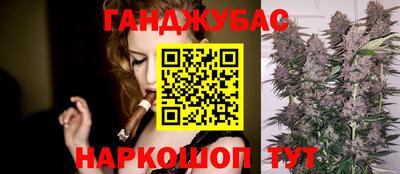 стаф Кингисепп