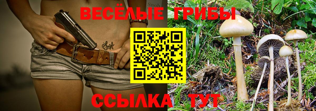 Киселёвск  купить наркотик  Вход с VPN  Галлюциногенные грибы Psilocybe 